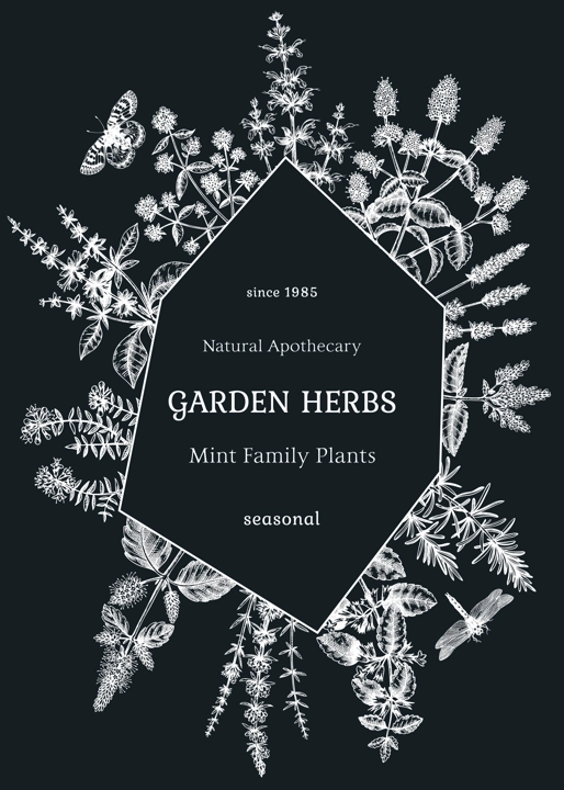Hand-sketched Mints card or invitation design. Mint plants and insects on chalkboard. Medicinal herbs and summer flowers background. Herbal tea ingredients template. Botanical illustration in color